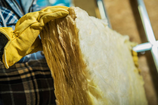 Best Residential Insulation in Gothenburg, NE